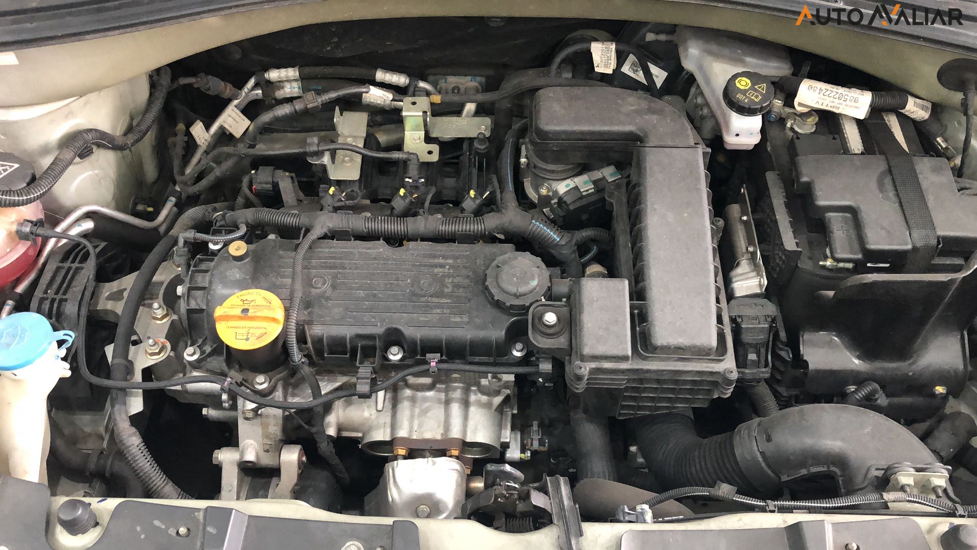 CITROEN C3 FEEL 1.0 MT