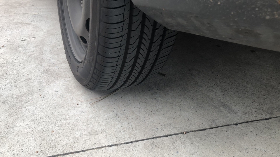 VOLKSWAGEN SPACEFOX 1.6 MI 8V FLEX 4P MANUAL