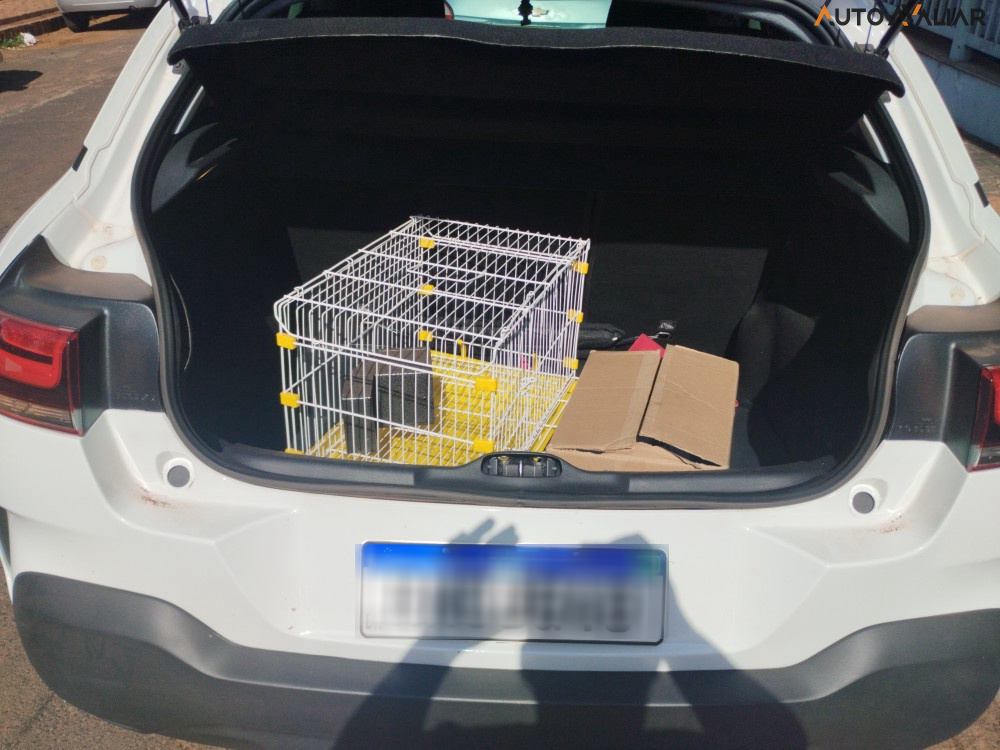 CITROEN C4 CACTUS 1.6 VTI 120 FLEX FEEL EAT6