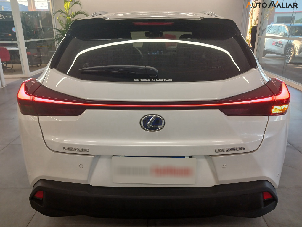 LEXUS UX 250H LUXURY 2.0 16V AUT. HYBRID