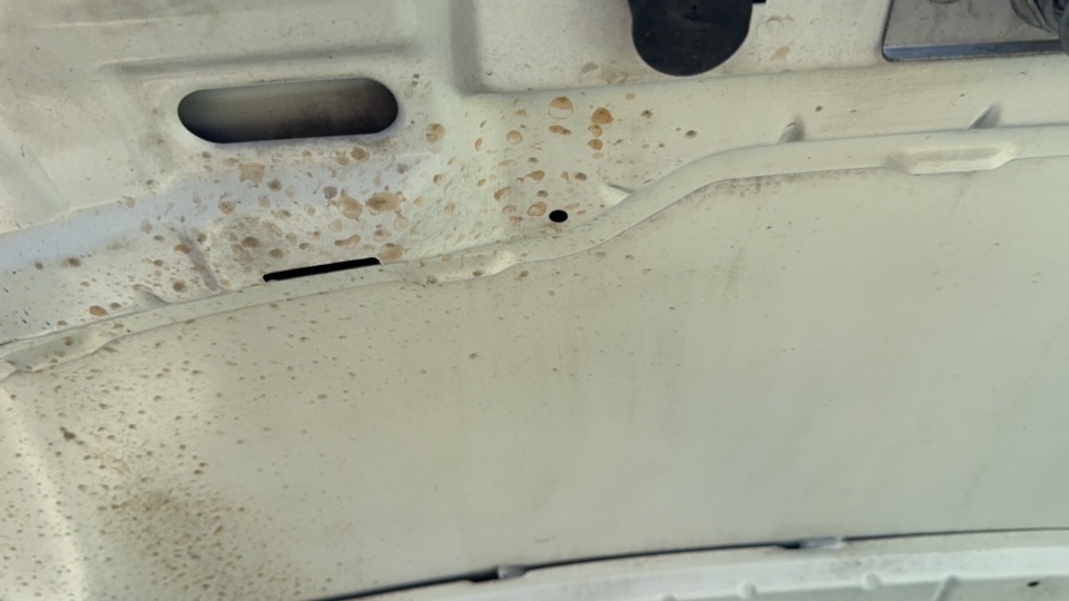 FIAT UNO 1.0 EVO VIVACE 8V FLEX 2P MANUAL