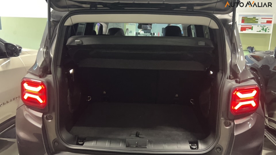 JEEP RENEGADE 1.3 T270 TURBO FLEX TRAILHAWK 4X4 AT9