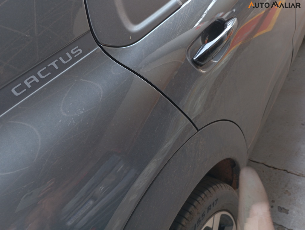 CITROEN C4 CACTUS 1.6 THP FLEX SHINE EAT6
