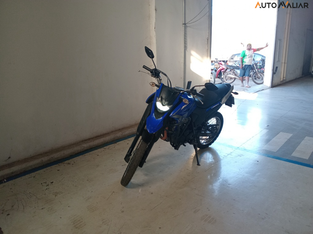 YAMAHA XTZ 250 XTZ 250