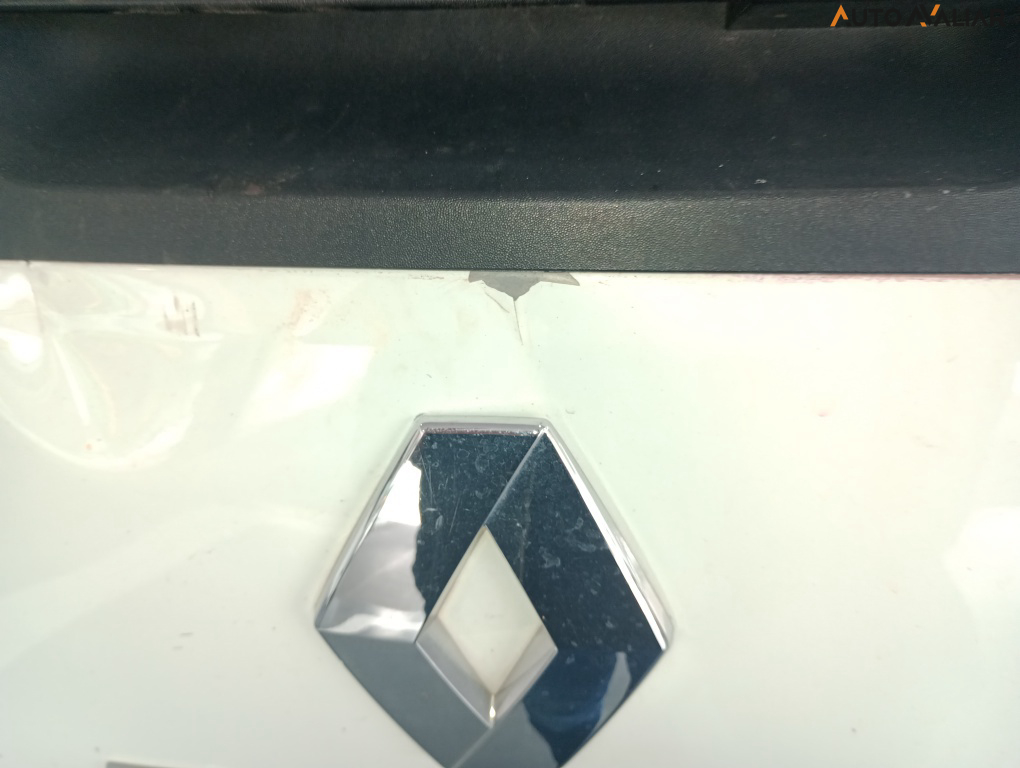 RENAULT OROCH 1.6 16V FLEX EXPRESS MANUAL