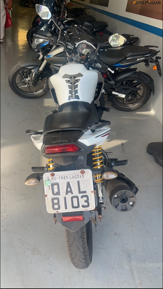 YAMAHA FAZER YS 150 SED FAZER YS 150 SED