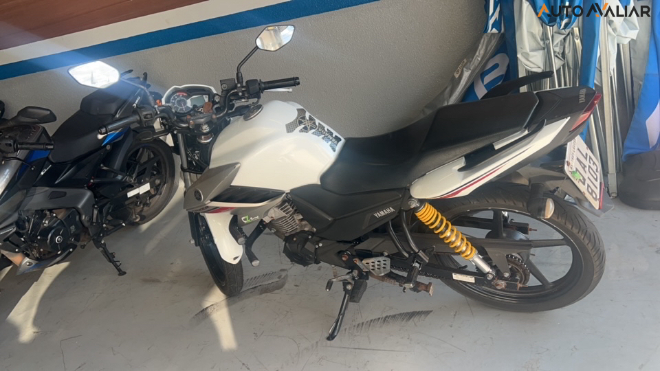 YAMAHA FAZER YS 150 SED FAZER YS 150 SED
