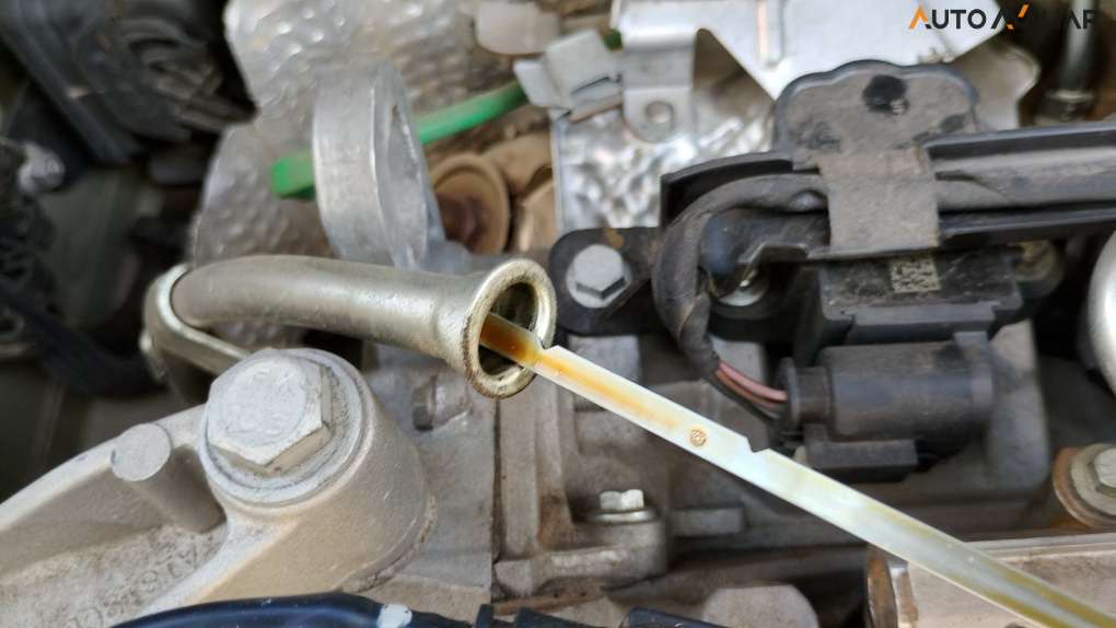 RENAULT KARDIAN 1.0 TCE FLEX EVOLUTION EDC