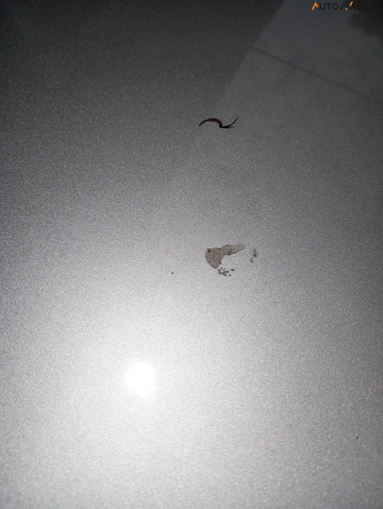 RENAULT LOGAN 1.6 DYNAMIQUE 8V FLEX 4P AUTOMATIZADO