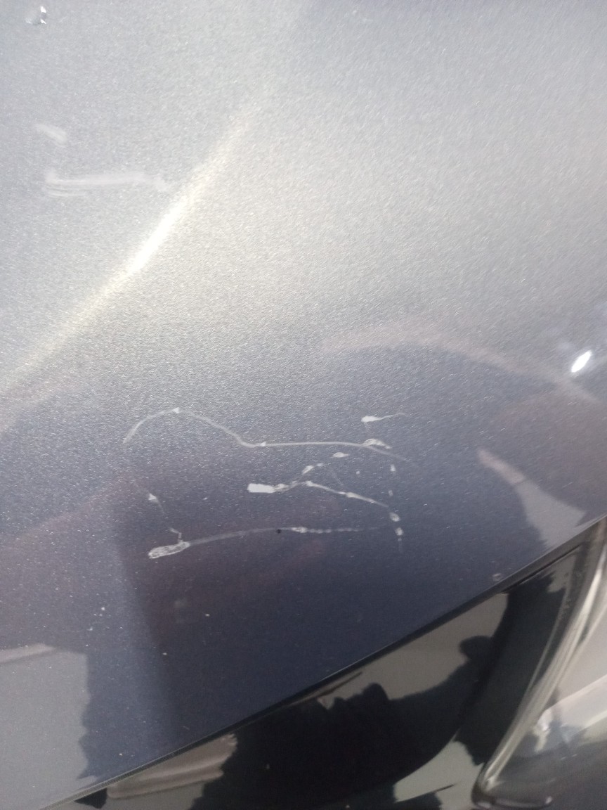 RENAULT DUSTER 1.6 EXPRESSION 4X2 16V FLEX 4P MANUAL