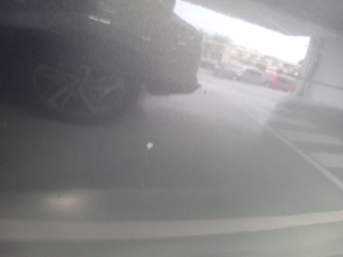 RENAULT DUSTER 1.6 EXPRESSION 4X2 16V FLEX 4P MANUAL